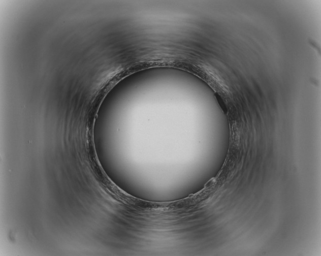 X0000091590692200708200952