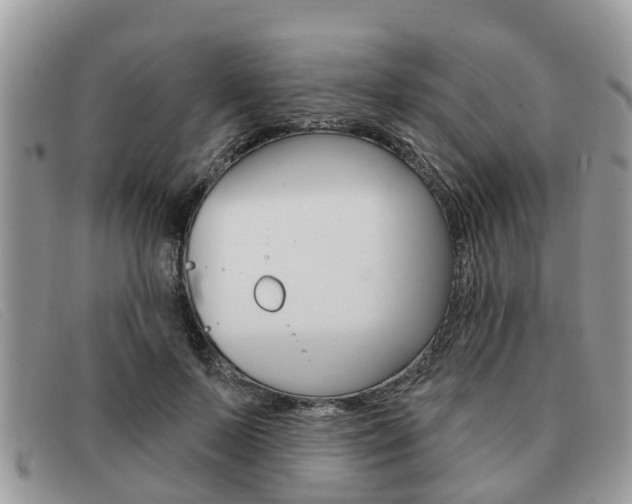 X0000091590695200708200952