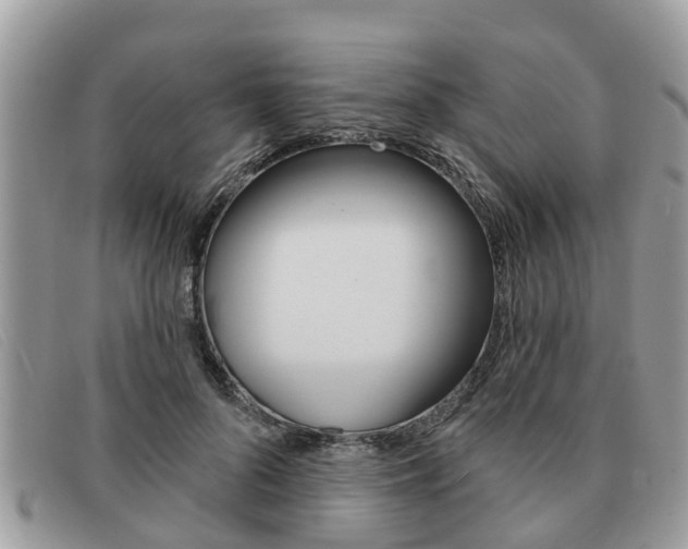 X0000091590696200708200952