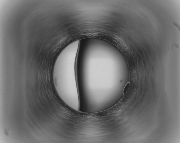 X0000091590697200708200952