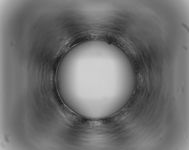 X0000091590698200708200952