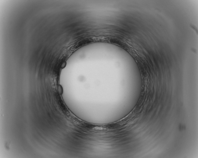 X0000091590699200708200952