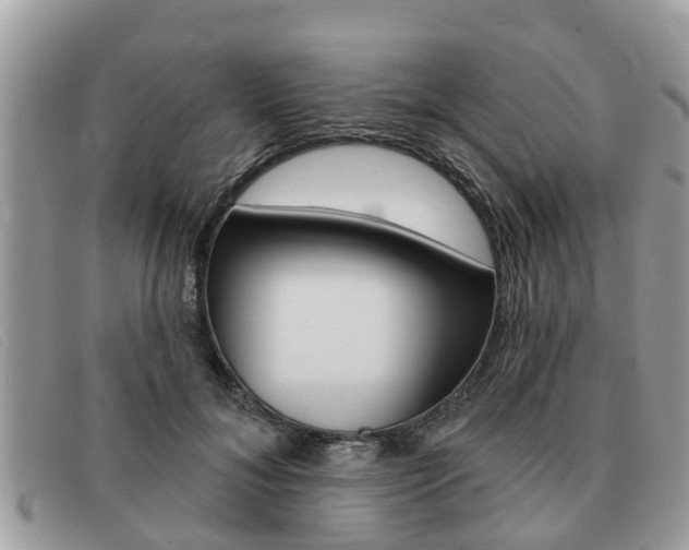 X0000091590700200708200952