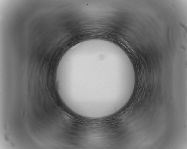 X0000091590701200708200952