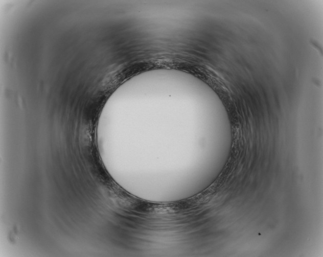 X0000091590702200708200952