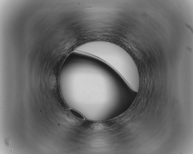 X0000091590704200708200952