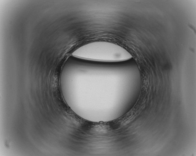 X0000091590708200708200952