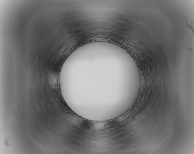 X0000091590709200708200952