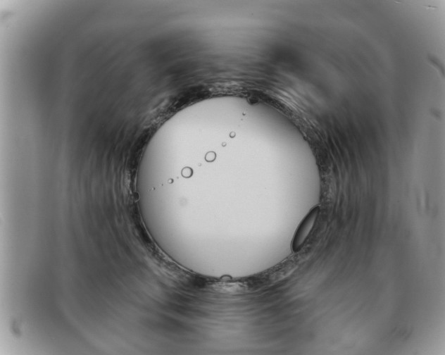 X0000091590711200708200952