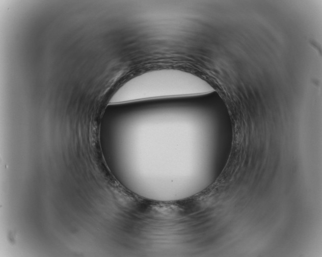 X0000091590712200708200952