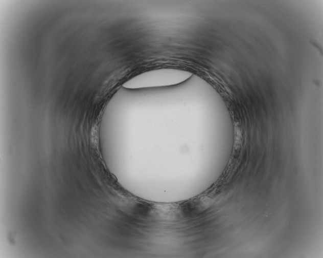 X0000091590713200708200952
