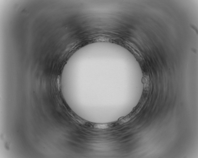 X0000091590717200708200952