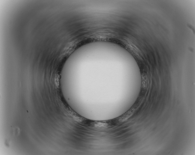 X0000091590718200708200952