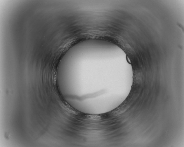 X0000091590719200708200952
