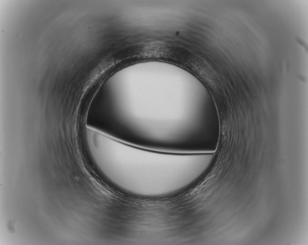 X0000091590722200708200951