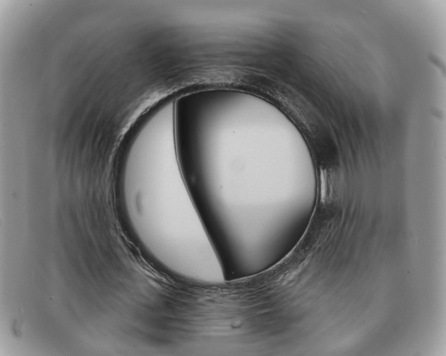 X0000091590723200708200951