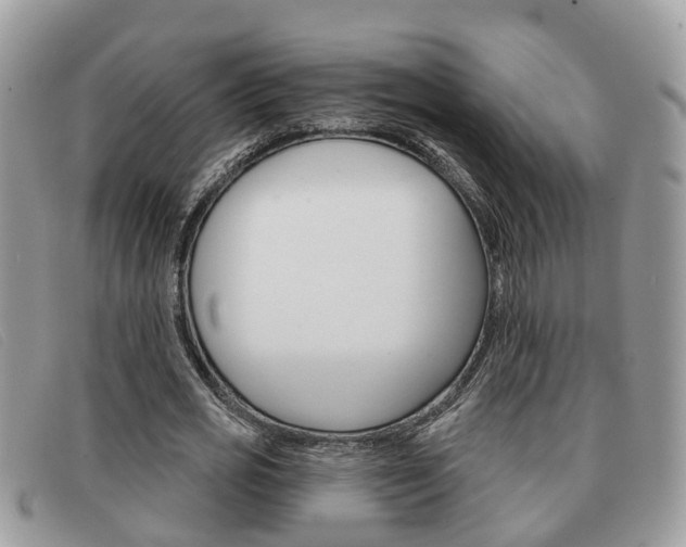 X0000091590725200708200951
