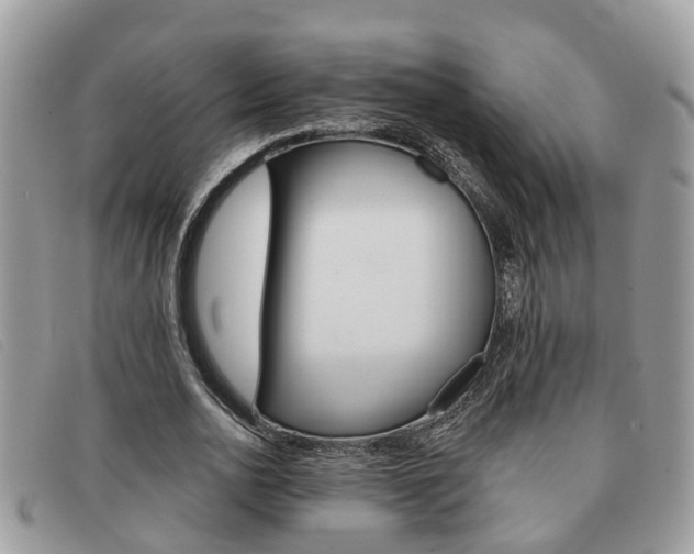 X0000091590726200708200951