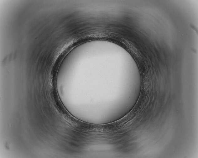 X0000091590727200708200951