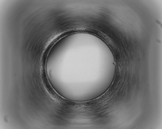 X0000091590728200708200951