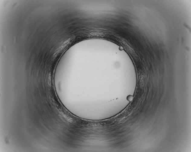 X0000091590729200708200951