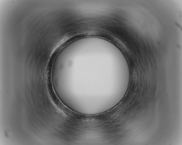 X0000091590730200708200951