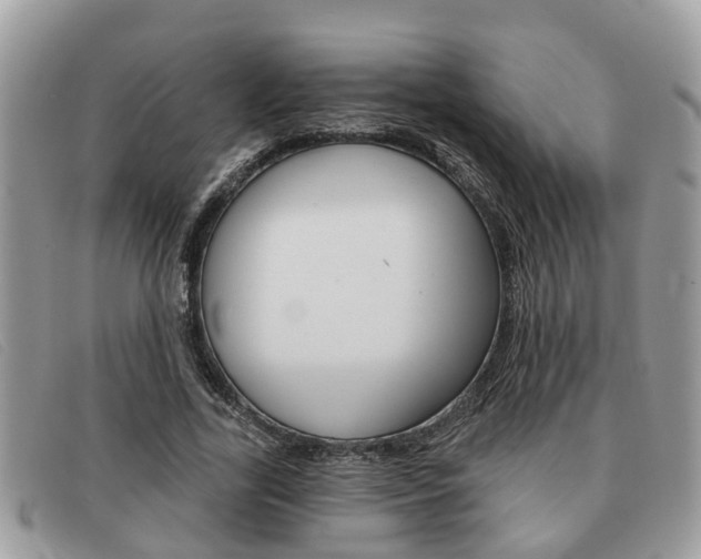 X0000091590731200708200951