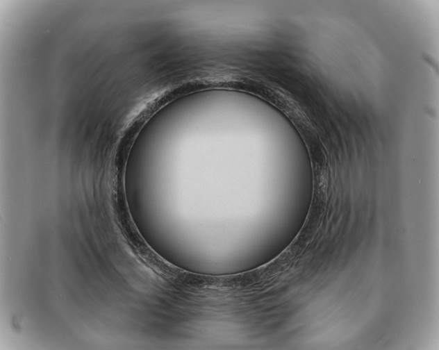 X0000091590732200708200951