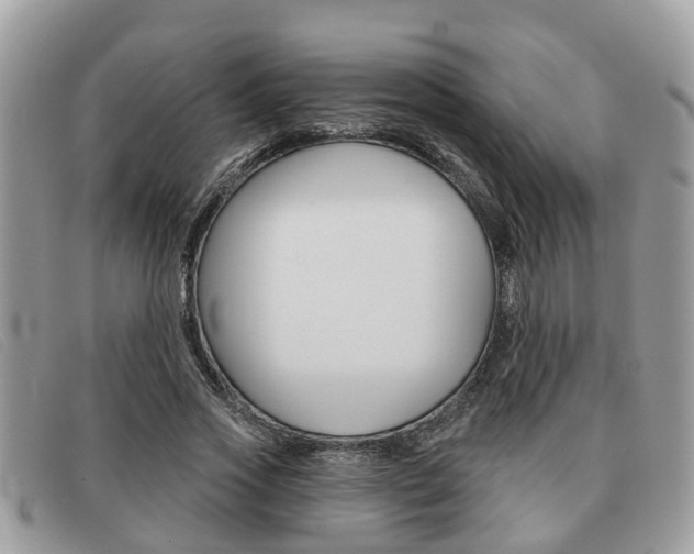 X0000091590733200708200951