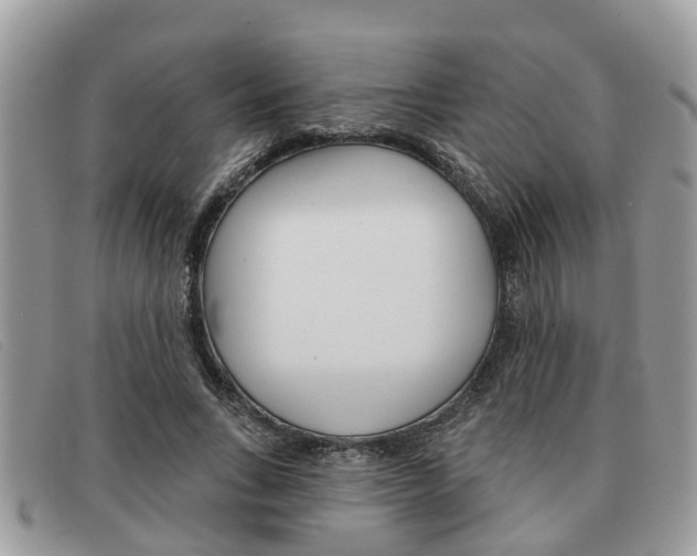 X0000091590735200708200951