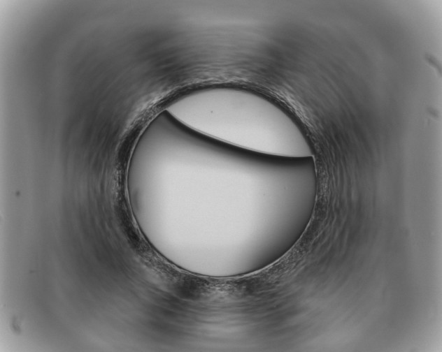 X0000091590736200708200951