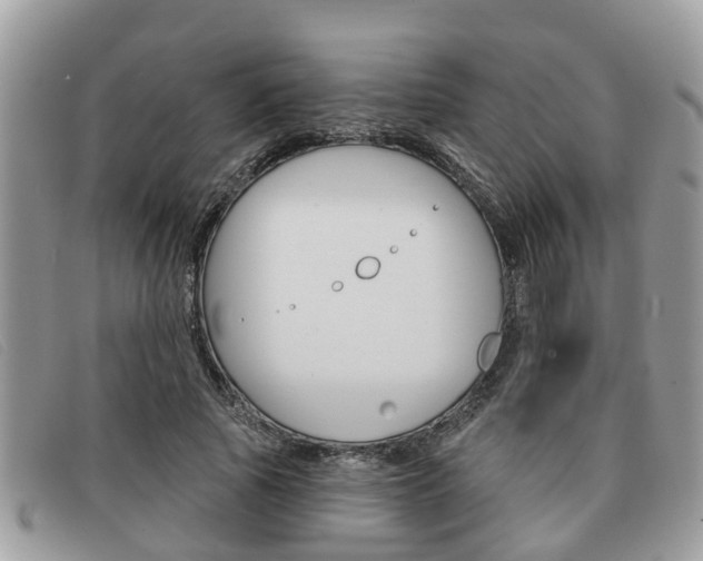 X0000091590737200708200951
