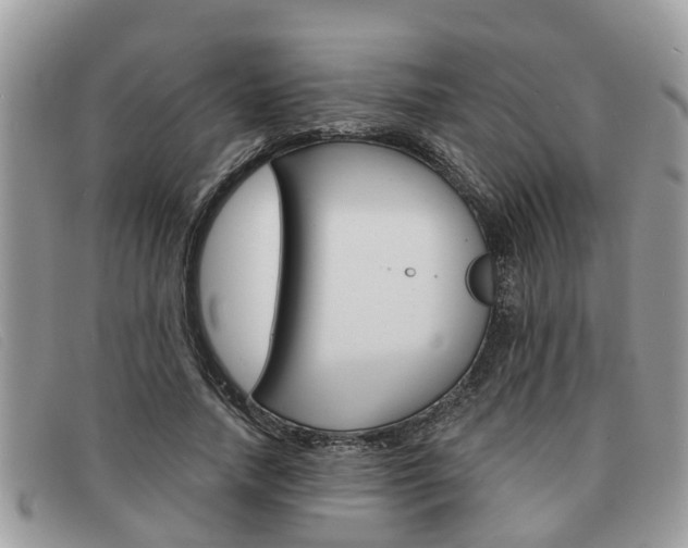 X0000091590738200708200951