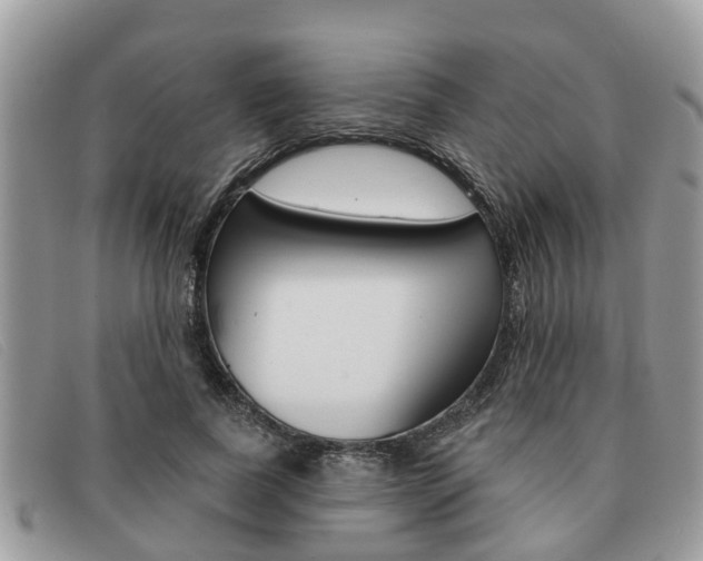 X0000091590739200708200951