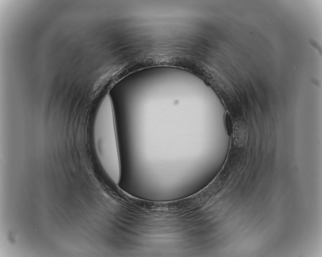 X0000091590740200708200951