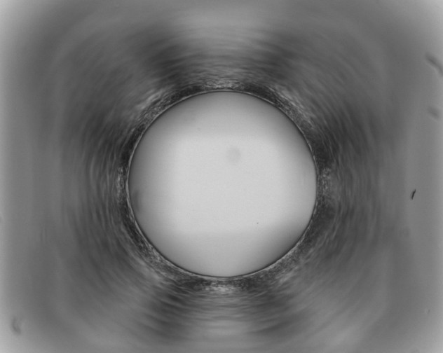X0000091590741200708200952