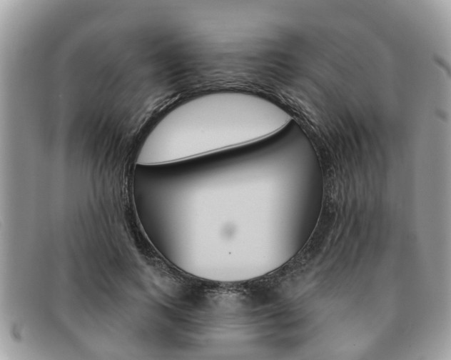 X0000091590743200708200952