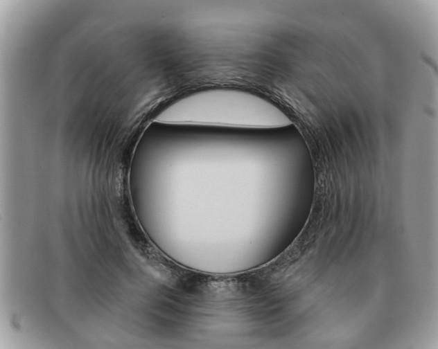 X0000091590744200708200952