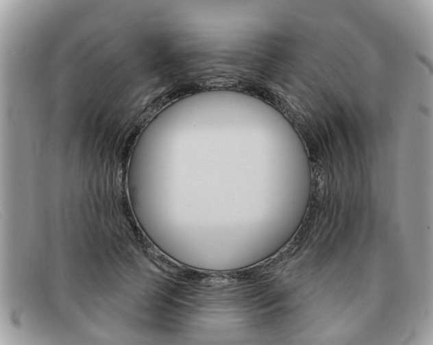 X0000091590745200708200952