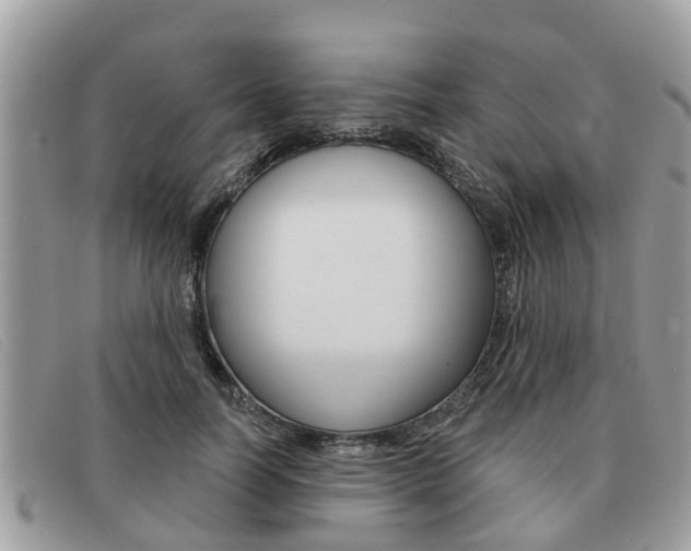 X0000091590746200708200952