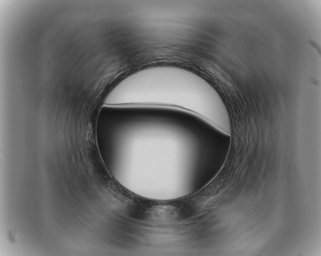 X0000091590748200708200952