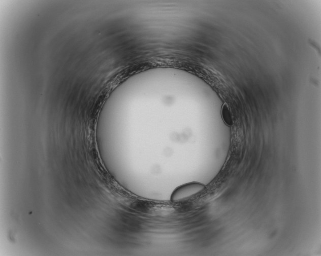 X0000091590749200708200952