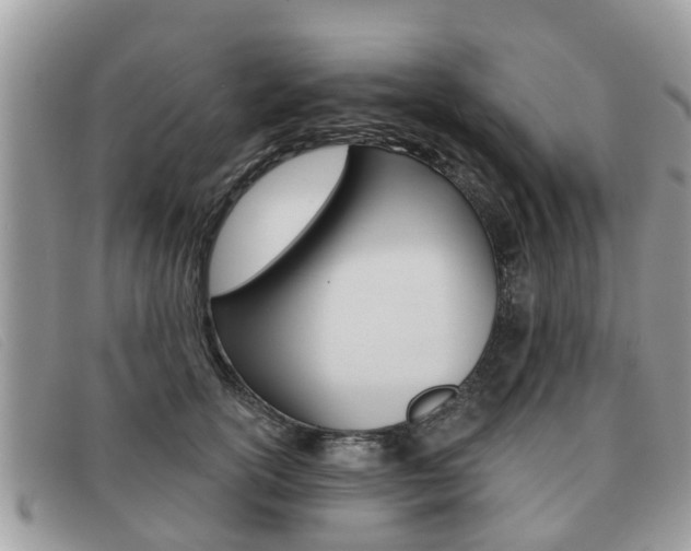 X0000091590754200708200952