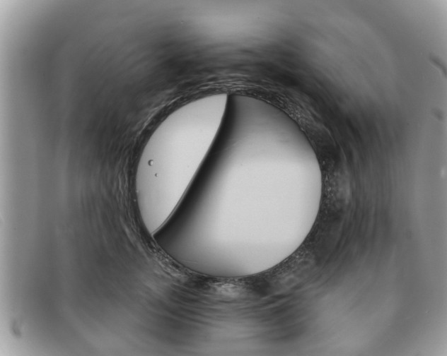 X0000091590755200708200952