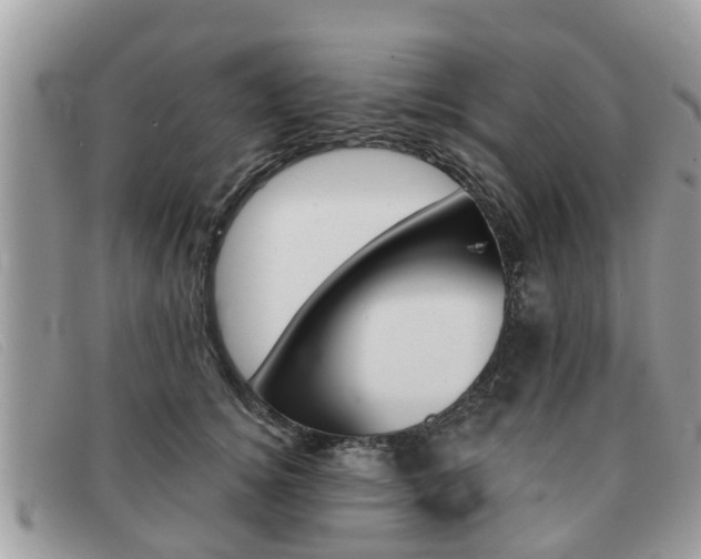 X0000091590756200708200952