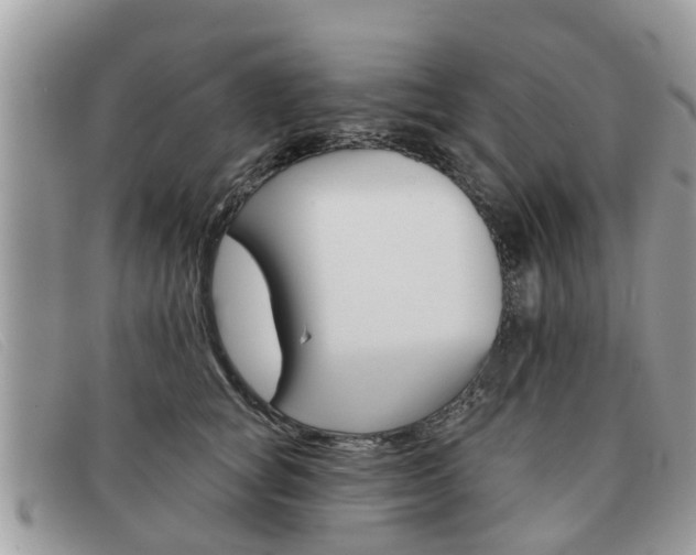 X0000091590757200708200952