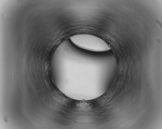 X0000091590759200708200952