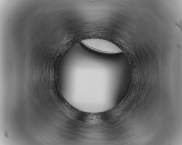 X0000091590760200708200952