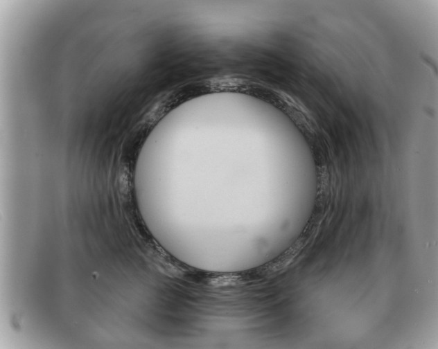 X0000091590761200708200952