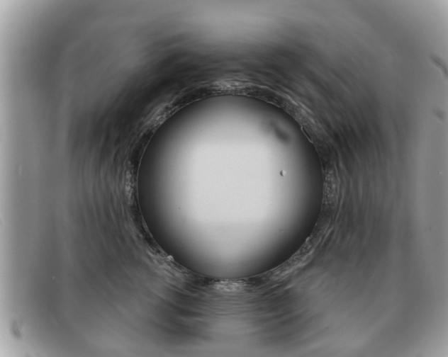 X0000091590762200708200952
